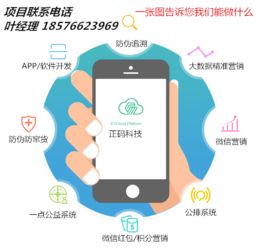 商品防竄貨系統(tǒng)軟件開發(fā)全解析 從需求到落地的技術(shù)方案
